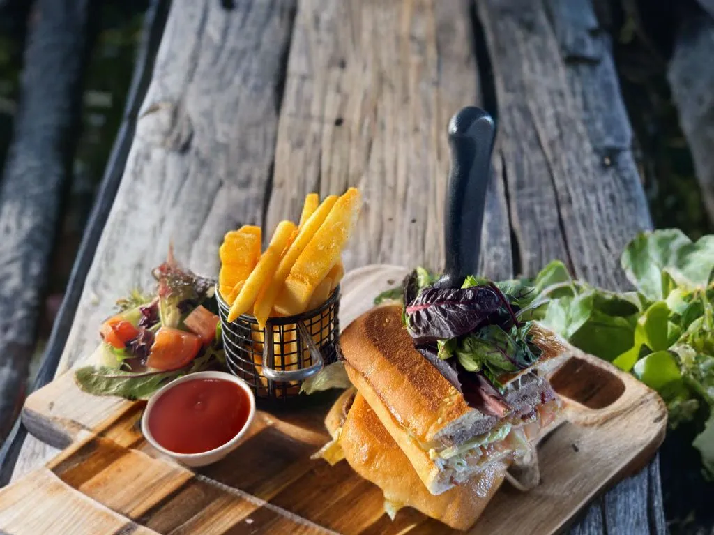 Toasted sandwich on a wooden board with chips, side salad, and ketchup on a rustic timber background